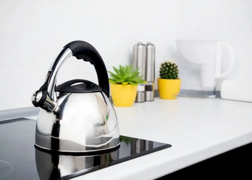 Is-it-OK-to-leave-water-in-a-kettle image 1