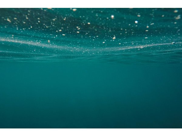 UV Water Purifiers