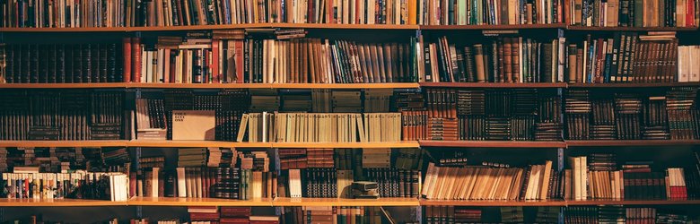 alfons-morales-YLSwjSy7stw-unsplash