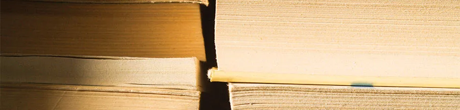 books-Stack-literature-pile-reading-entertainment-society-2010