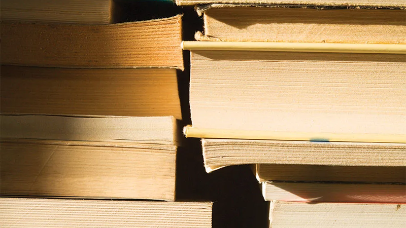 books-Stack-literature-pile-reading-entertainment-society-2010