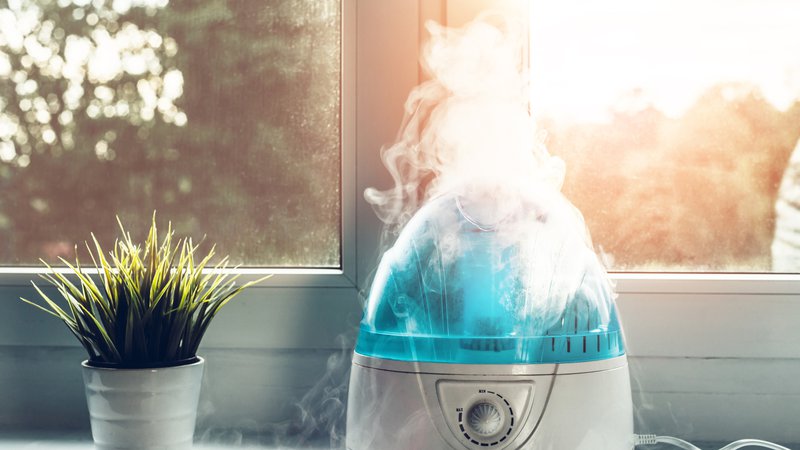 Buying a Whole-House Humidifier