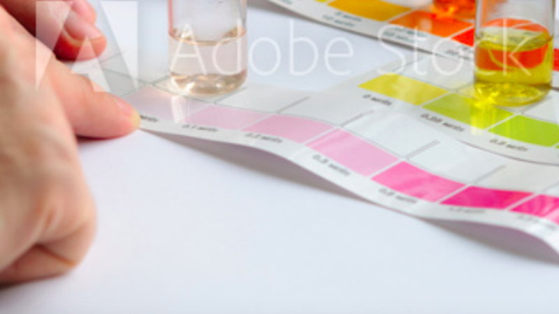 Water Test Kit