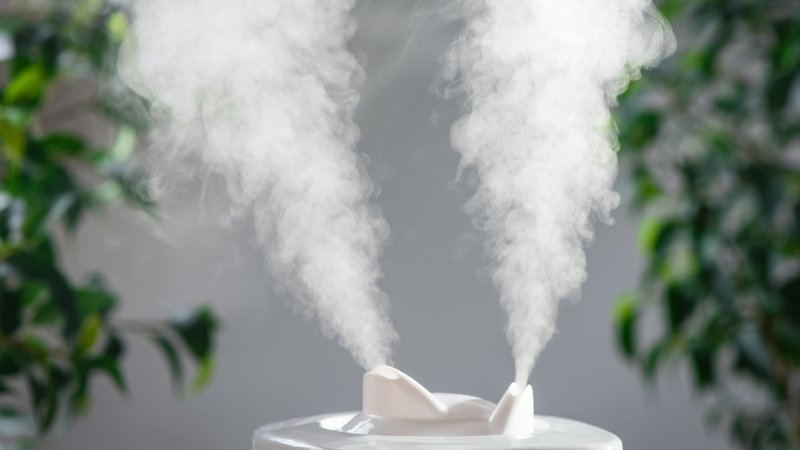 Whole-House Humidifiers